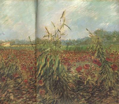Vincent Van Gogh Green Ears of Wheat (nn04) Spain oil painting art